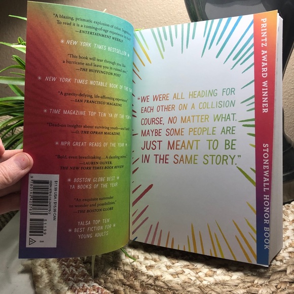 I’ll give you the sun by Jandy Nelson - Picture 2 of 4